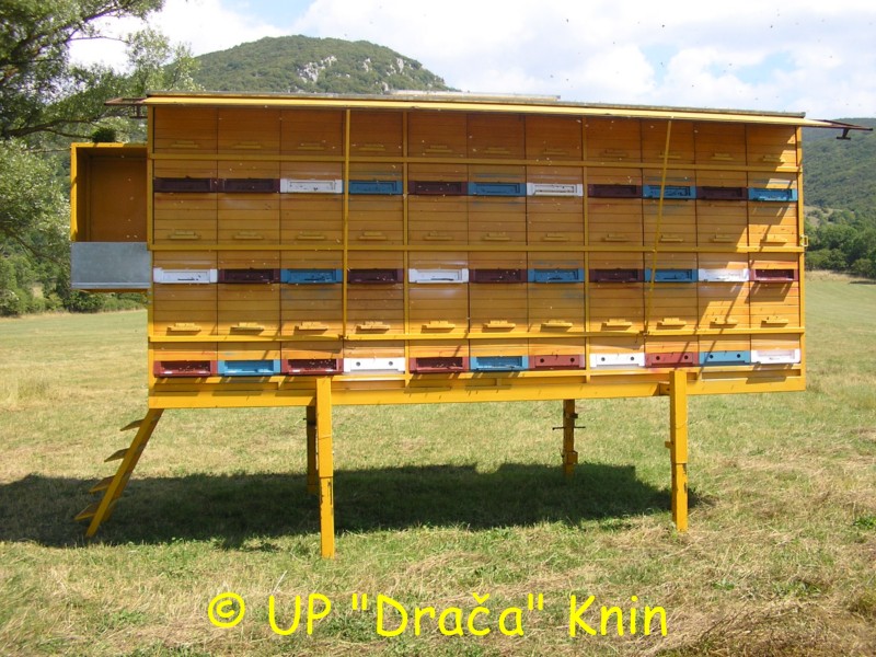 dracaknin (3)